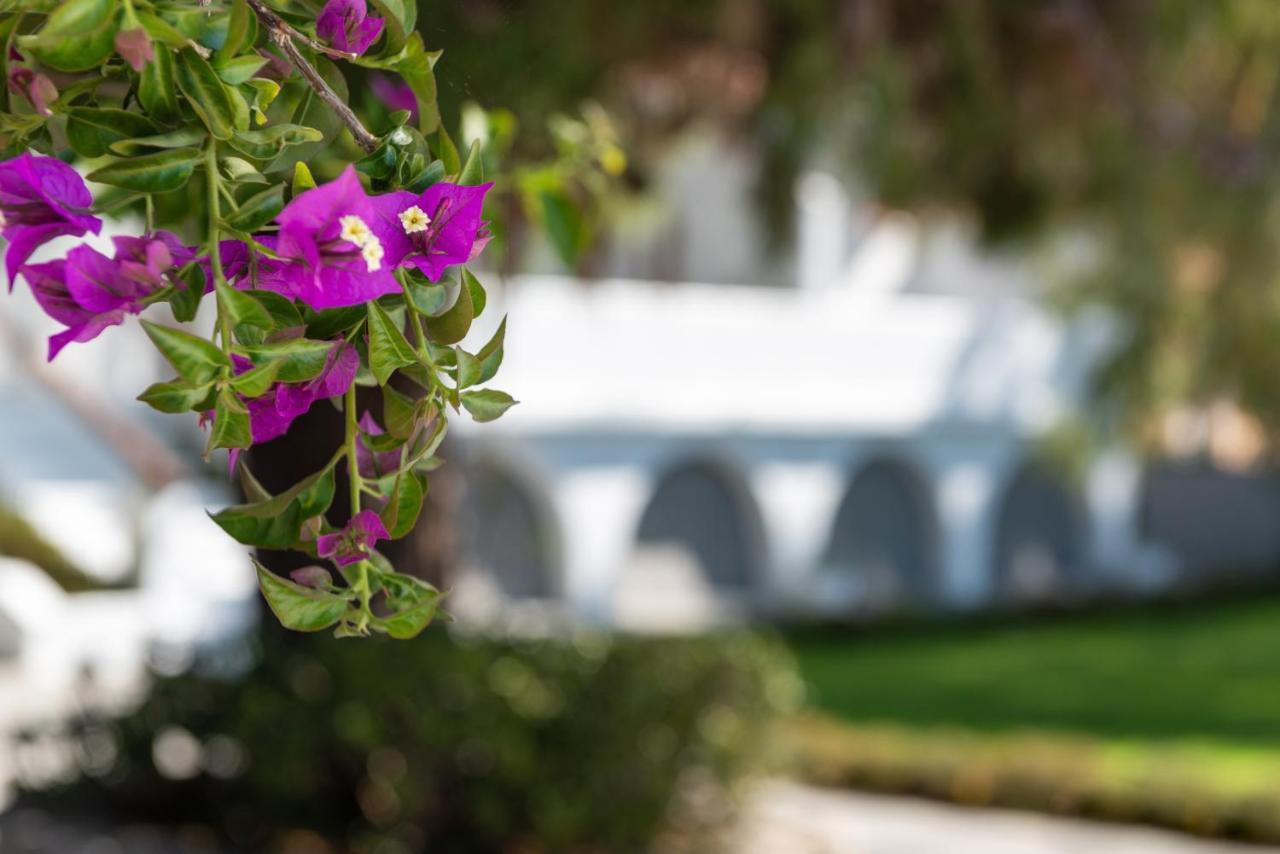 Casa Montzo Boutique Hotel Кателиос Екстериор снимка